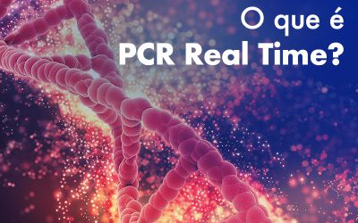 PCR Real Time